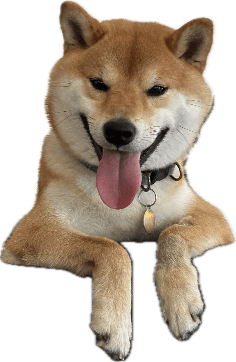 Zuki, Zukidens maskot — en shiba inu